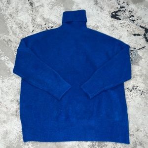 Zara Turtleneck Sweater
